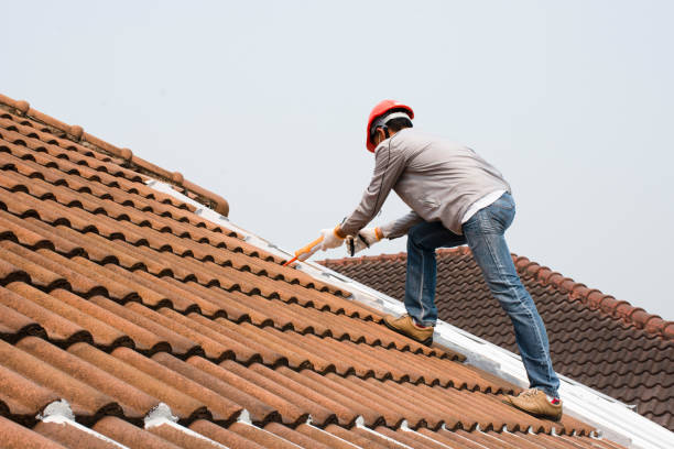 Best Roof Coating and Sealing  in Silver Summit, UT